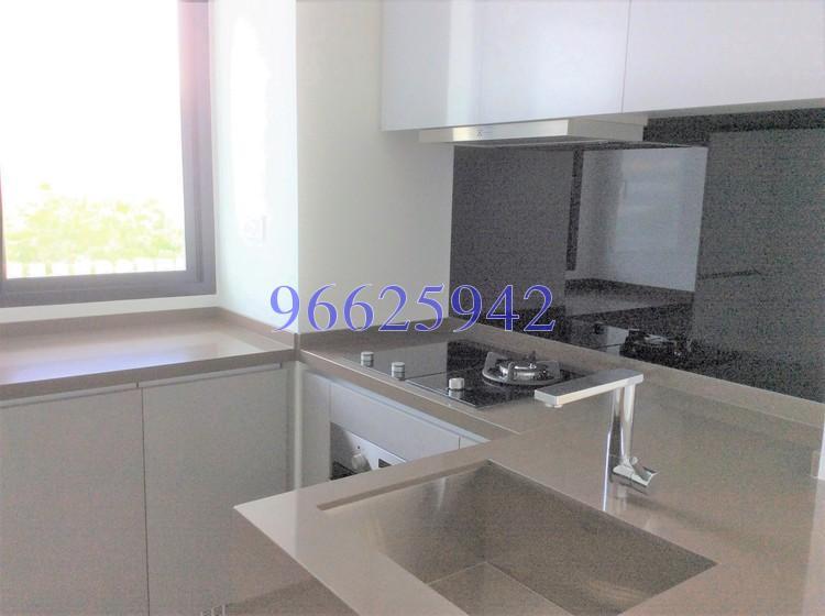 Sky Green (D13), Condominium #163841512